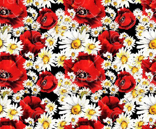 Dolce&Gabbana印花华亿平台图片