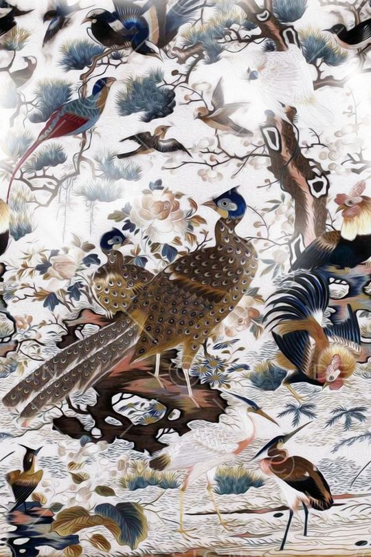 孔雀印花华亿平台图片