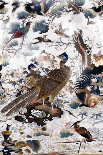 孔雀印花华亿平台图片