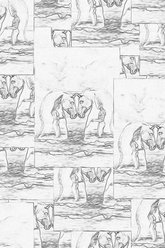 趣味印花华亿平台图片