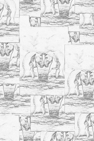 趣味印花华亿平台图片