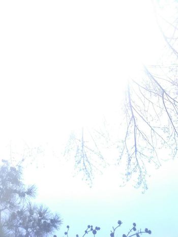 风景印花华亿平台图片