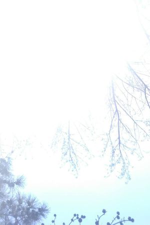 风景印花华亿平台图片