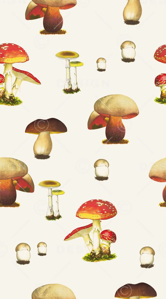 油画印花华亿平台图片