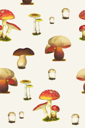 油画印花华亿平台图片