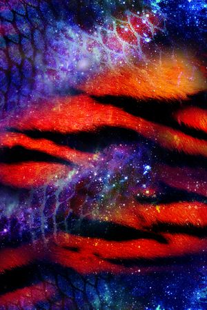 动物纹印花华亿平台图片