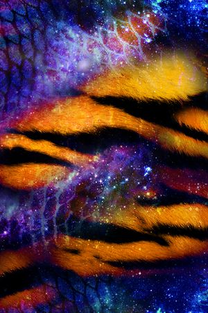 动物纹印花华亿平台图片