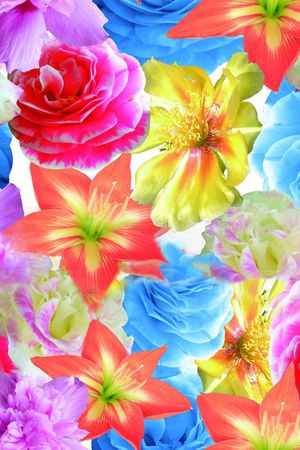 大花印花华亿平台图片