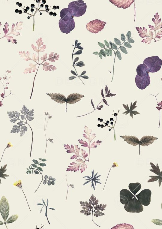 叶子印花华亿平台图片