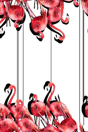 鸟类印花华亿平台图片