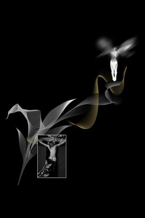 纪梵希GIVENCHY印花华亿平台图片