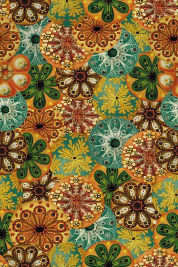 620991-2016-4-23复古花纹1