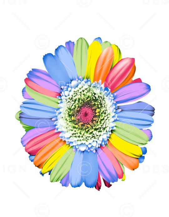 花朵印花华亿平台图片