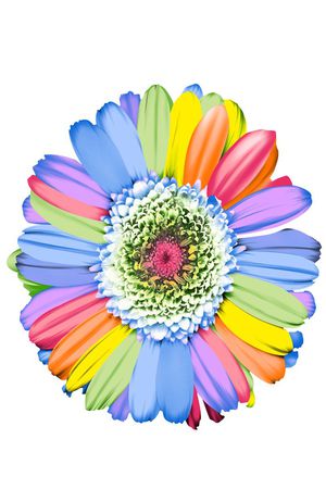 花朵印花华亿平台图片