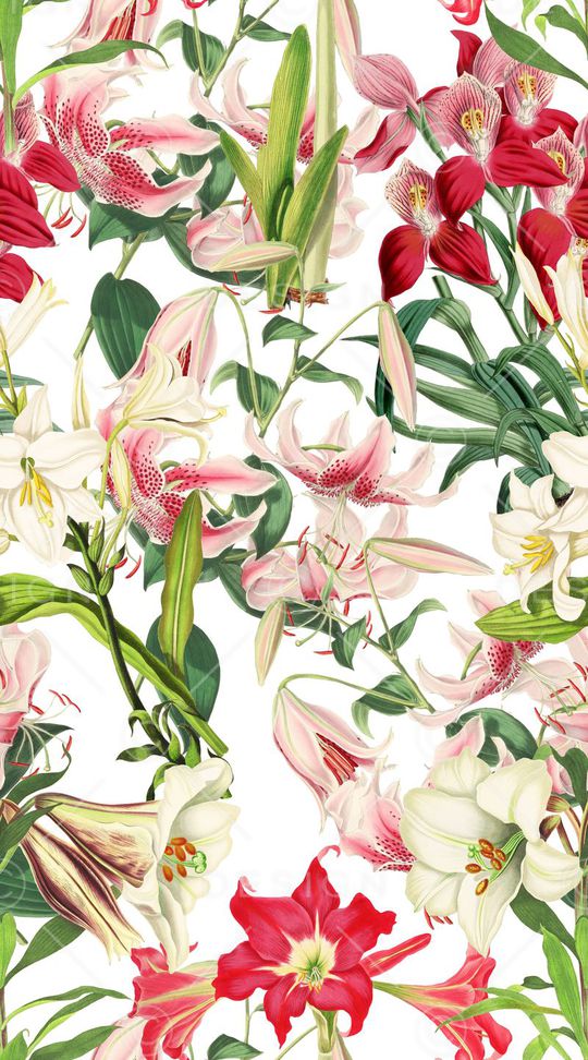 兰花印花华亿平台图片