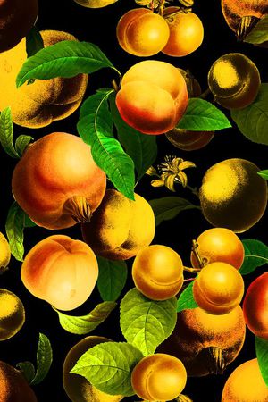 热带水果印花华亿平台图片