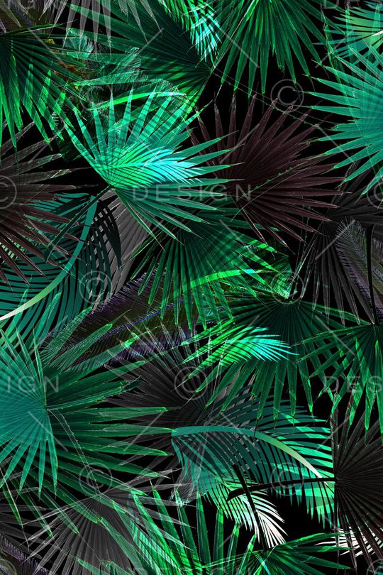 热带印花华亿平台图片