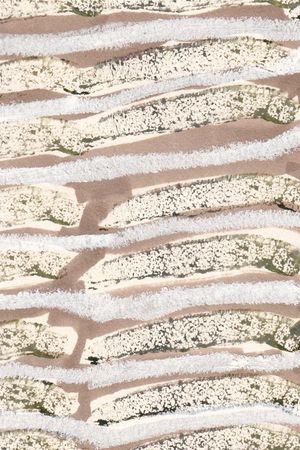 手绘几何印花华亿平台图片