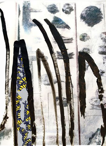 蝴蝶印花华亿平台图片