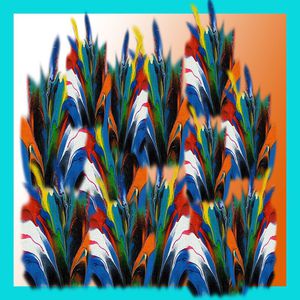 羽毛状印花华亿平台图片