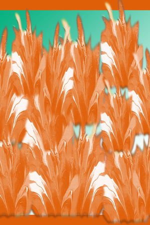 羽毛状印花华亿平台图片