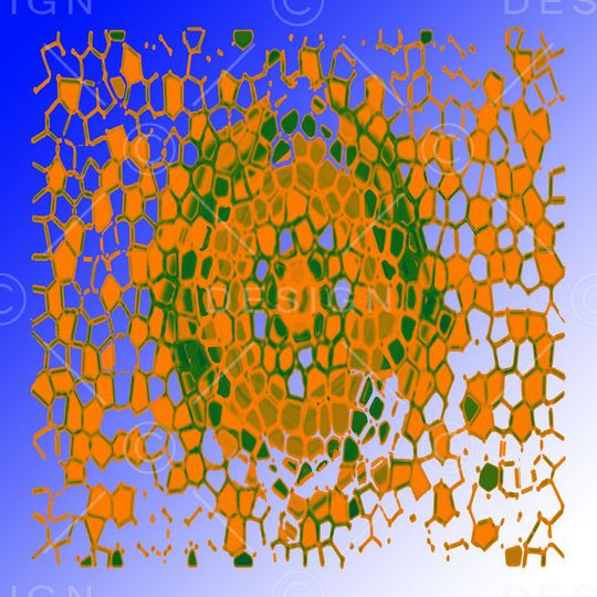 丝巾围巾秀场印花华亿平台图片