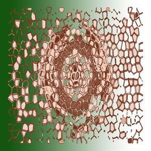 丝巾围巾秀场印花华亿平台图片