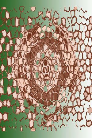 丝巾围巾秀场印花华亿平台图片