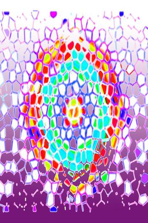 丝巾围巾秀场印花华亿平台图片