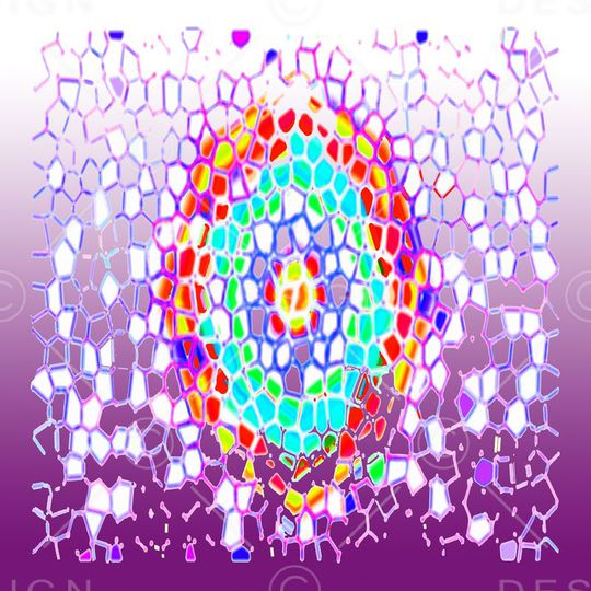 丝巾围巾秀场印花华亿平台图片