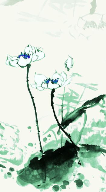 621624-定位荷花水墨 墨绿