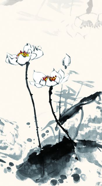 荷花印花华亿平台图片