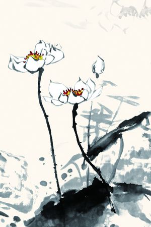 荷花印花华亿平台图片