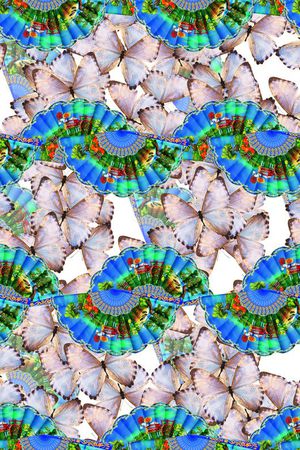 昆虫印花华亿平台图片