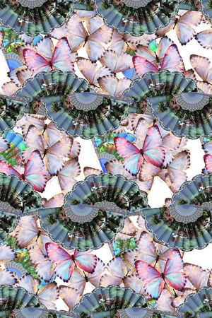 昆虫印花华亿平台图片