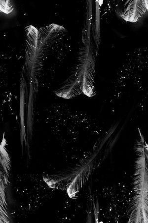 羽毛印花华亿平台图片