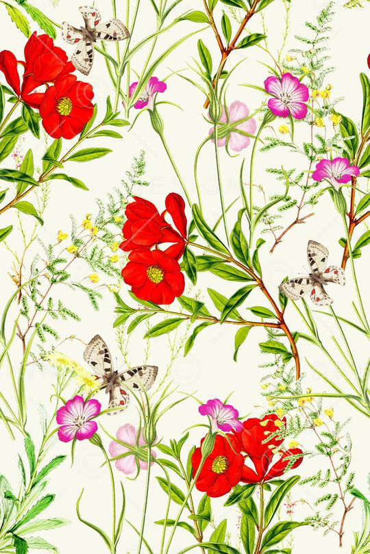 昆虫印花华亿平台图片