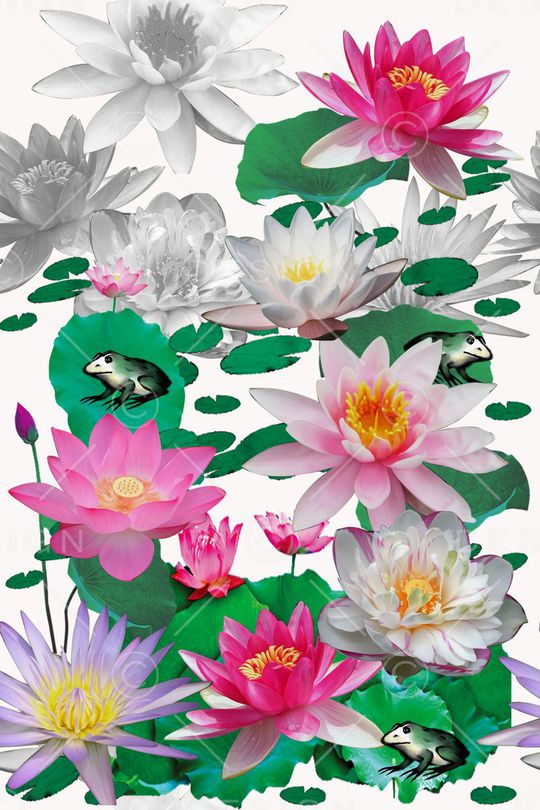 荷花印花华亿平台图片