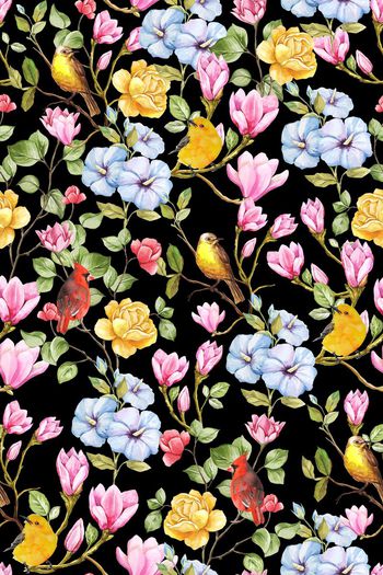 621889-兰花和玫瑰