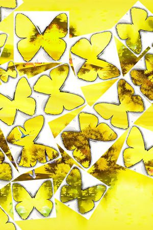 昆虫印花华亿平台图片