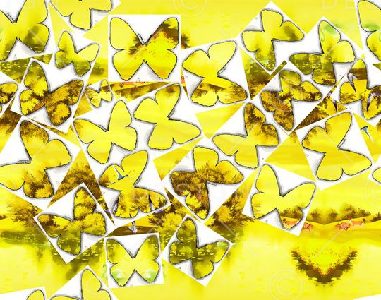 昆虫印花华亿平台图片