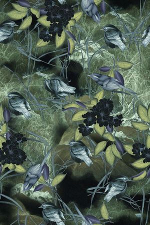 鸟印花华亿平台图片