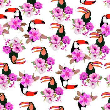 622179-大嘴鸟花卉分