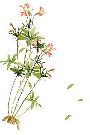 定位印花华亿平台图片