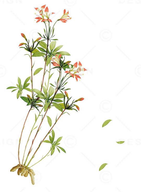 定位印花华亿平台图片