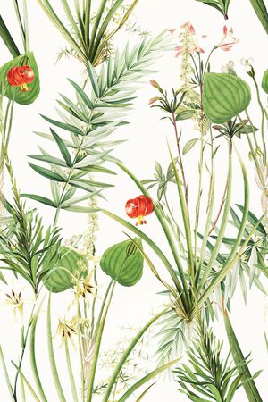 小清新印花华亿平台图片