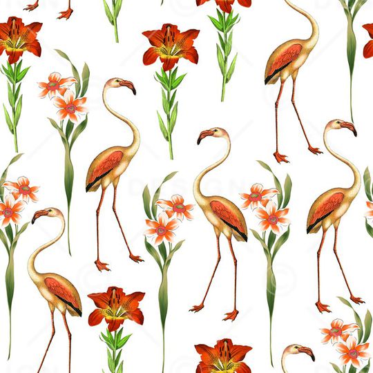 粉色烈火鸟印花华亿平台图片