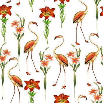 622415-烈火鸟白花花卉