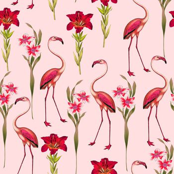 622416-烈火鸟白花花卉分