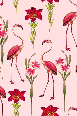 粉色烈火鸟印花华亿平台图片